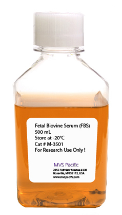 fetal bovine serum